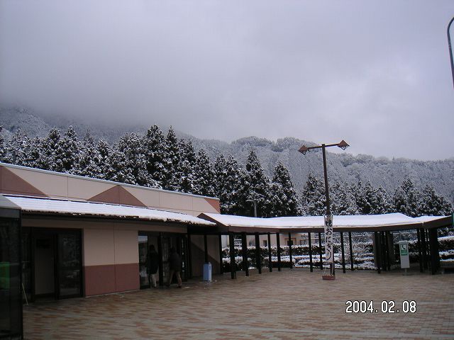s_PICT0007.jpg